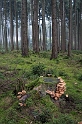 Allgäu 09 - 2014 - 20140909_0303 Kopie